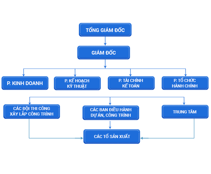 Sơ đồ tổ chức